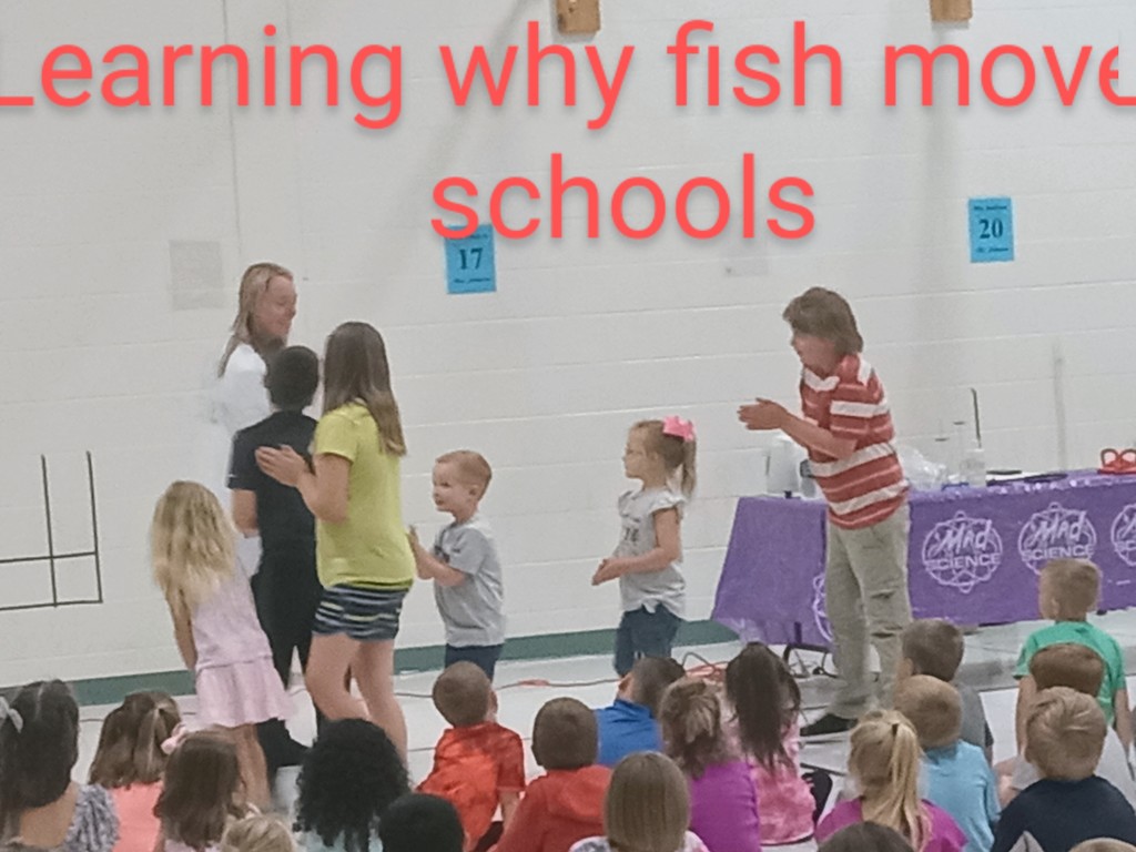 Students acting like a school of fish