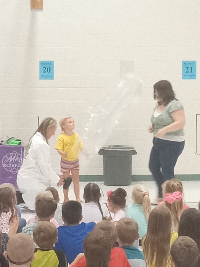 Learning about jellyfish